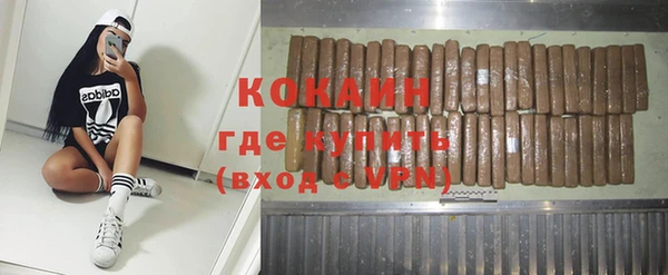 дмт Белокуриха