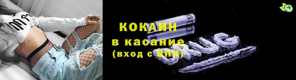 дмт Белокуриха